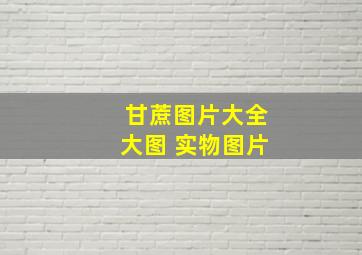 甘蔗图片大全大图 实物图片